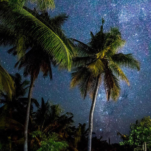 S SALÉ (feat. Jezoo)