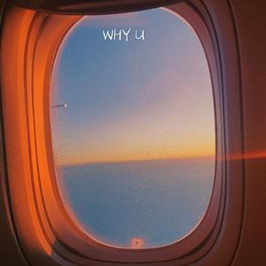WHY U