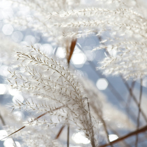 고요하게 차분하게