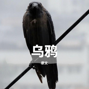 乌鸦