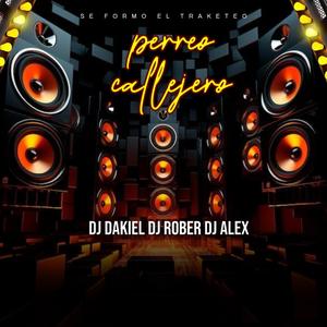 Perreo Callejero (feat. Dj Alex Del Callao, Dj Dakiel & Dj Rober)