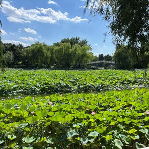 80b48a263f1749288a1d32b3efe7e7bd