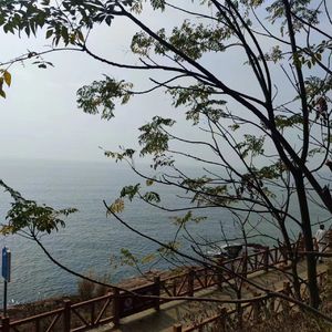 刻在我心底的名字