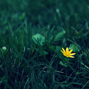 钢琴白噪音里的睡眠序曲