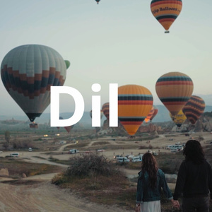 Dil