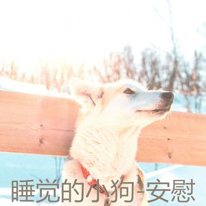 服从-睡狗