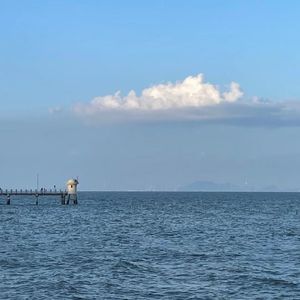 人非草木（钢琴弹唱）