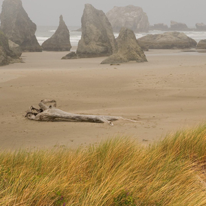 富人找钱用脑筋