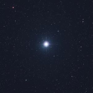 Vega