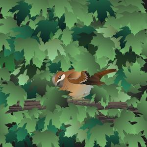 Sombras Que Me Resbalan