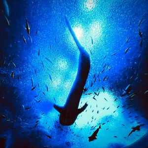 Soul of Rova（流浪者的灵魂）