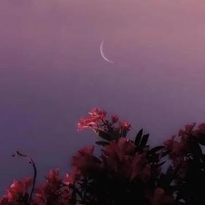 示弱（Prod by Gr33nart beat）