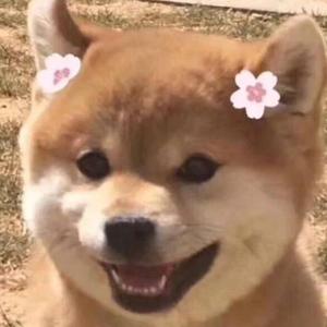 7%（翻自 XMASwu）