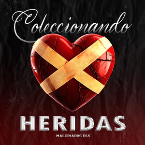 Coleccionando Heridas