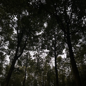 既非朋友也非恋人