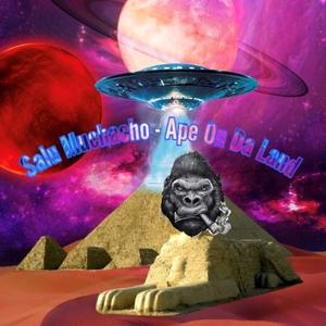 Black Capone (feat. Salu Muchacho, Chato HD & Reek Havoc)