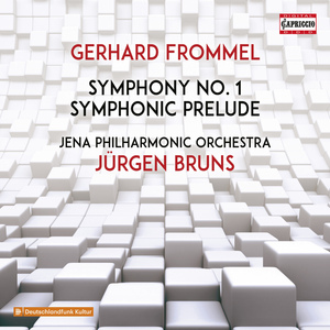 Symphony No. 1 in E Major, Op. 13:I. Moderato, maestoso