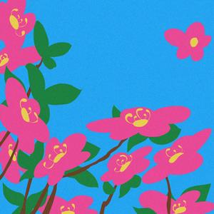 春恋Blossom