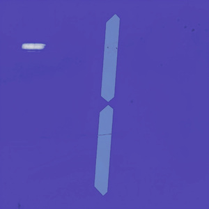 数字人生freestyle