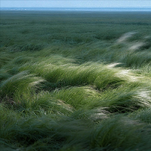 Liora in the Wilderness