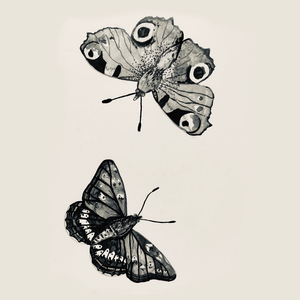 Butterflies