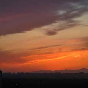 放弃(Prod.DIVINE MUSIC)