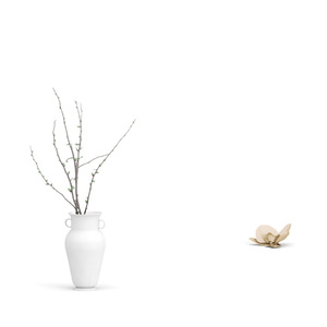 致青春（Cover王菲）