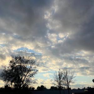 Florez (feat. Yung Slug & Young Montie)