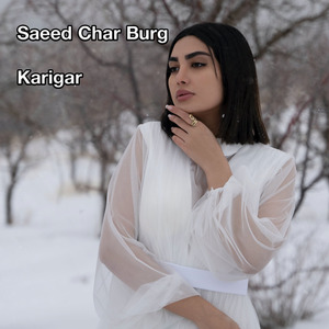 Karigar