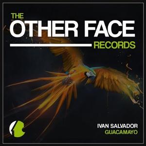 Guacamayo (Original Mix)