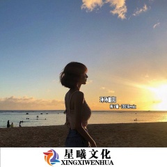 此时已鹰莺草长爱的人在路上 (DJ版)
