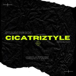 CICATRIZTYLE (feat. $tain Regix)