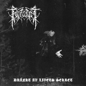 Vargarna är Samlade