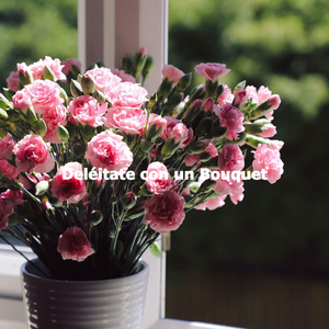 Paradise Like Music for Music