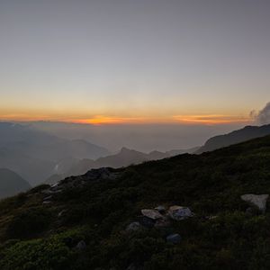 玫瑰