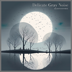 Delicate Gray Noise