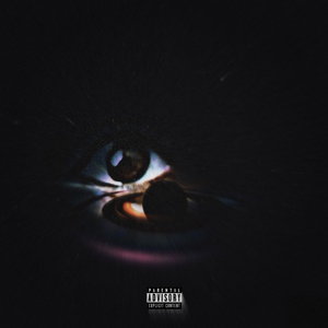 Get Back (Shake Back)