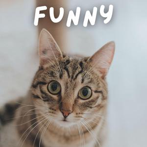 Funny