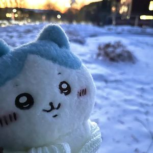 泪水流出我的眼睛（prod.sleepy / RoyalBoyBrazy）