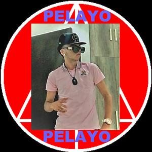 Pelayo