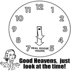 RGH (Real Goose Hours)