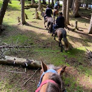 鹤楠-EA7旋律（有钱的废物 remix）