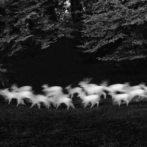 伯虎说（左右环绕卡点版）