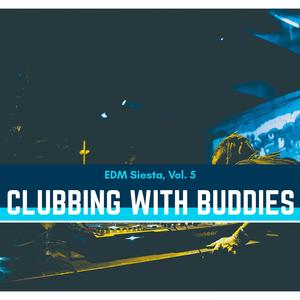 The Reluctant Visitor (EDM Festival Tech House)