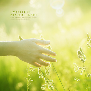 나른한 오후의 햇살