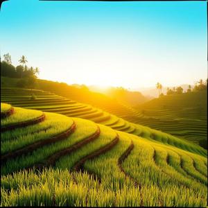 Pulau Cinta Nusa Penida