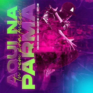 Aqui Na Parma Tu Vem Pra Fuder (Flow Vision 2)