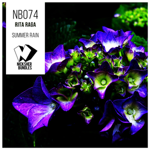 Summer Rain (Shklash Alternative Mix)