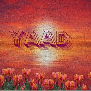 YAAD (Freestyle)