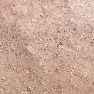 KUCING BERGOYANG DI MEJA JUDI